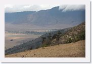 16SerengetiToLakeManyara - 03 * A last look at the Lerai Forest from the top of the southern descent road.